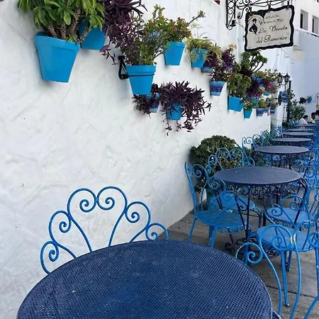 Ataraxia Casa Vacacional Mijas